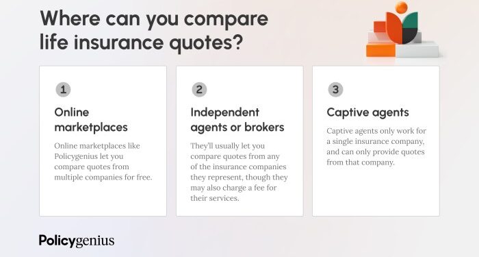 The Importance Of Comparing Life Insurance Quotes: Securing Your Loved ...