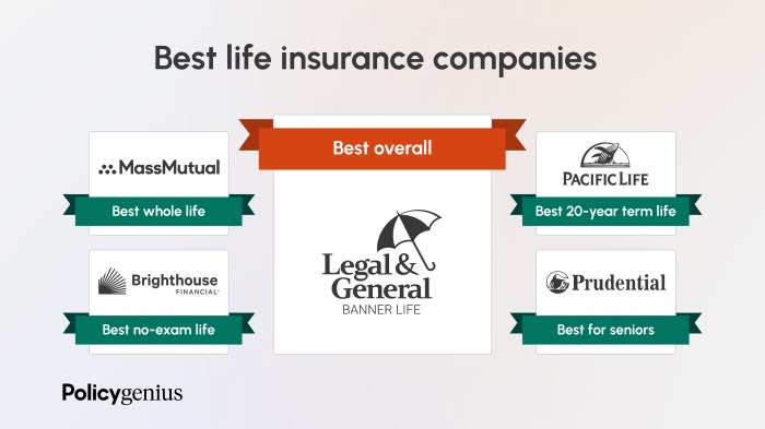 The Best Life Insurance Companies New York Life Insurance Company